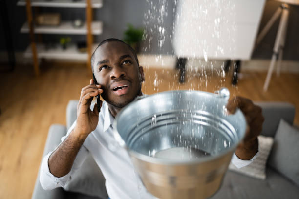 Best Water damage restoration near me  in New Burlington, OH