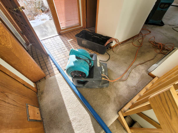Best Carpet water damage restoration  in New Burlington, OH