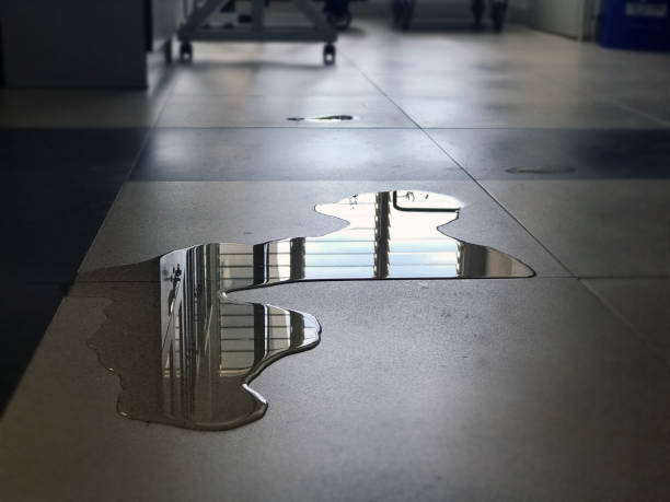 Best 24/7 water damage repair  in New Burlington, OH