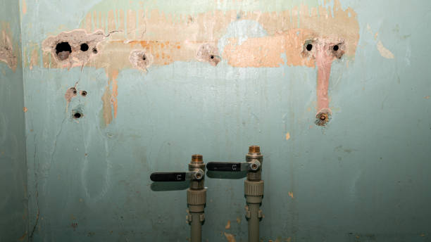 Best Water damage cleanup near me  in New Burlington, OH