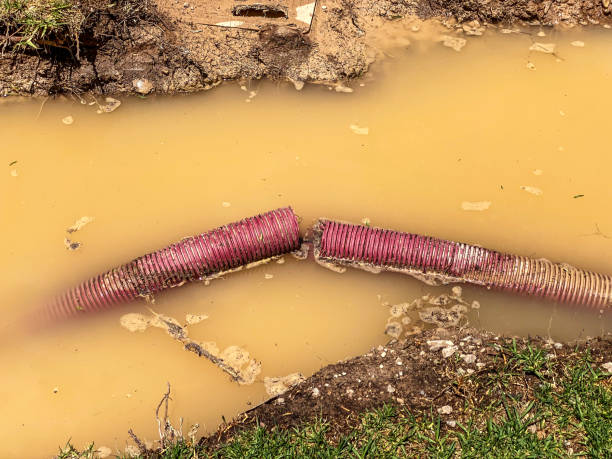 Best Sewage cleanup and water damage restoration  in New Burlington, OH