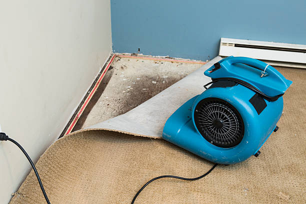 Best Water damage restoration process  in New Burlington, OH